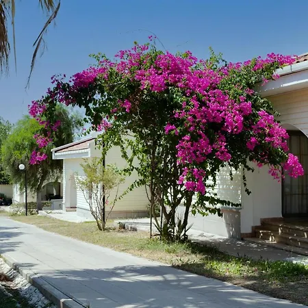 Szálloda Anadolu Club 5*