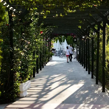 Anadolu Club דידים